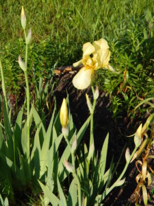 DSCN0298.JPG