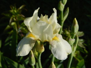DSCN0310.JPG