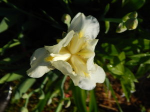 DSCN0311.JPG