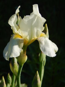 DSCN0312.JPG
