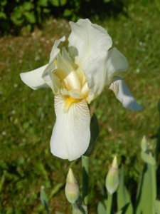 DSCN0339.JPG