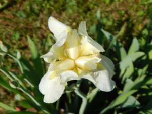 DSCN0340.JPG