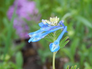 DSCN0292.JPG
