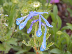 DSCN0293.JPG