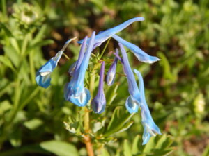 DSCN0318.JPG