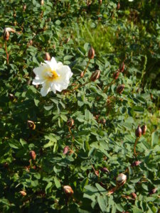 DSCN0321.JPG