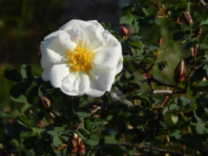 DSCN0322.JPG