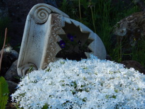DSCN0154.JPG