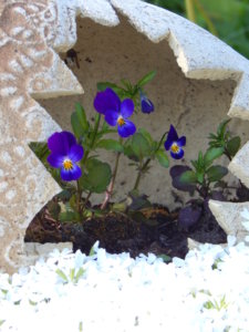 DSCN0155.JPG