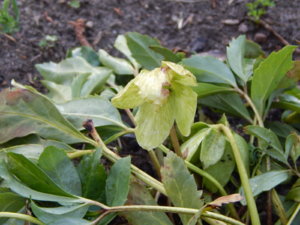 DSCN0261.JPG