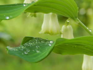 DSCN0249.JPG