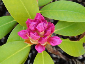 DSCN0216.JPG