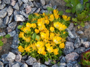 DSCN0135.JPG