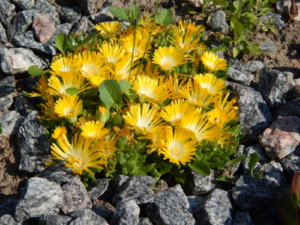 DSCN0335.JPG