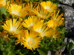 DSCN0336.JPG
