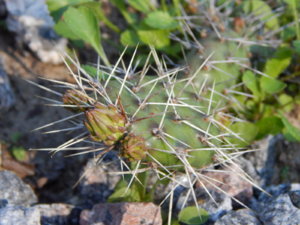 DSCN0138.JPG