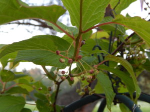 DSCN0256.JPG