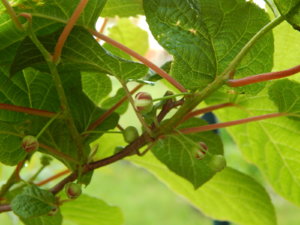 DSCN0257.JPG