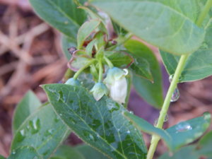 DSCN0266.JPG