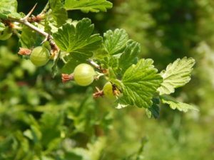 DSCN0324.JPG