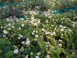 DSCN0338.JPG