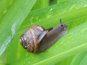 DSCN0269.JPG