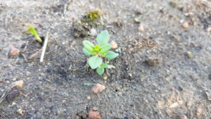 20190611_080759.jpg