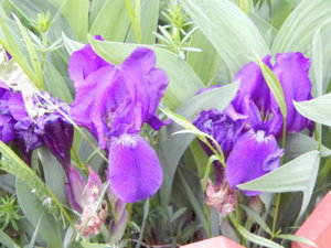 DSCN0031.JPG
