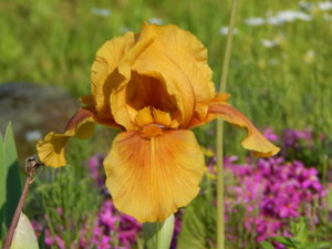 DSCN0147.JPG