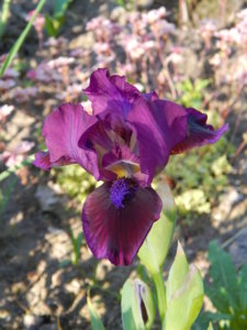 DSCN0202.JPG