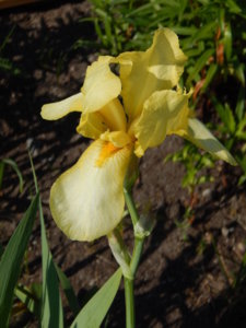 DSCN0345.JPG