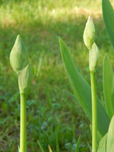 DSCN0209.JPG