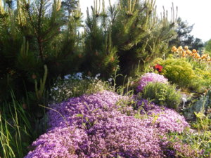 DSCN0327.JPG