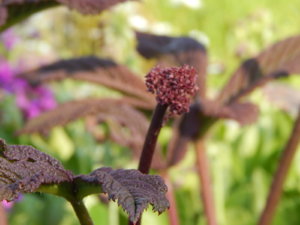 DSCN0146.JPG