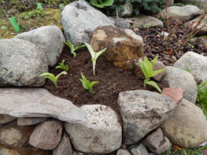 DSCN9837.JPG