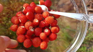20190611_082538.jpg