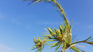 20190611_080624.jpg
