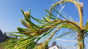 20190614_075625.jpg