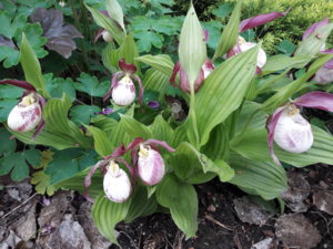 20190614_143658.jpg