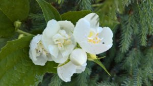 WP_20190616_20_07_53_Pro_LI.jpg