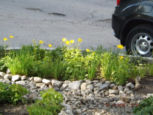 2019.06.17 Дороникум_ DSCF3909.JPG