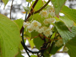 DSCN0403.JPG