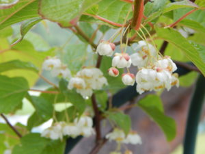DSCN0466.JPG