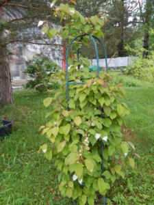 DSCN0477.JPG