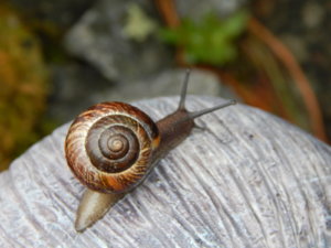 DSCN0436.JPG