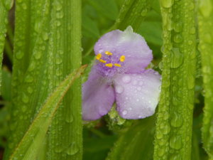 DSCN0408.JPG
