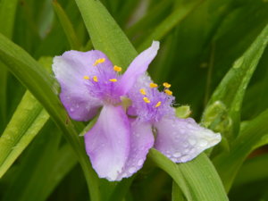 DSCN0474.JPG