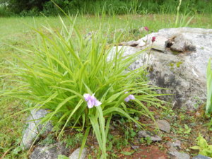 DSCN0475.JPG