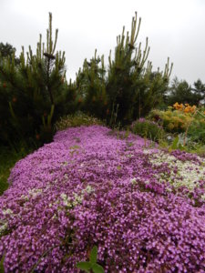 DSCN0372.JPG