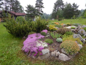 DSCN0447.JPG